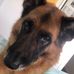 Lyndal Marks - Facebook