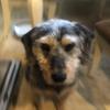 linda.maxwell - @linda.maxwell - TikTok