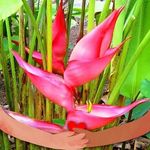 Lynda Maxwell - @lynda.maxwell.31 - Instagram
