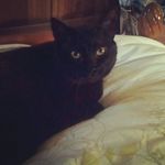 Lynda Maxwell - @lynda.maxwell.180 - Instagram