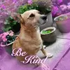 Linda McCabe - @linda.mccabe - TikTok