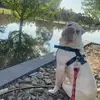 Lynda McCabe - @lynda.mccabe5 - TikTok