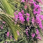 Lynda McCabe - @lynda.mccabe.92 - Instagram