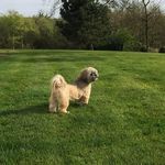 Lynda McDowell - @lyndamcdowell31 - Instagram