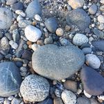 Lynda Meyer Lewis - @lyndasuelew - Instagram