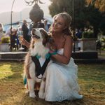 Linda Morrow - @linnintazzy - Instagram