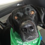 Linda Morrow - @klinda.morrow - Instagram
