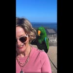 Lynda Morrow - @lyricgirl39 - Instagram