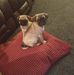 Lynda Morrow - Facebook