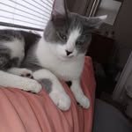 Mueller Justina Lynda - @lynda.mueller.739 - Instagram
