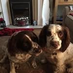 Lynda Murphy - @lynda.murphy367 - Instagram
