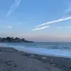 Lynda Murphy - @lynda.murphy97 - TikTok