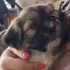 Lyn Da Ng - @lyn.da.ng - TikTok