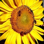 Lynda O'Donnell - @lynda.odonnell - Instagram