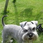 Lynda Ogle - @oglelynda - Instagram