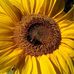 Lynda O'Rourke - Facebook