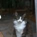 Lynda O'Rourke - Facebook