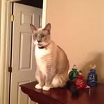Linda Pack - @lindapack45 - Instagram