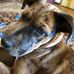Lynda Pack - Facebook