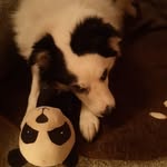 Lynda Painter - @lyndapainter28 - Instagram