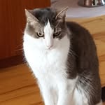 Lynda Parent - @lynda.parent.35 - Instagram