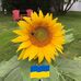 Lynda Parent - Facebook