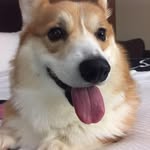 Lynda Patrick - @lynda.patrick1 - Instagram