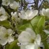 Linda Perdue92 - @lindaperdue1949 - TikTok