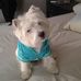 Lynda Perron - Facebook