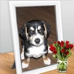 Lynda Perron Busby - @lynda.p.busby - Instagram