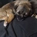Lynda Poole - @poolelynda - Instagram
