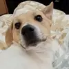 Lynda Poole - @lynda.poole4 - TikTok