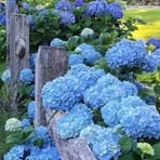 Lynda Putnam - Facebook
