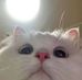 Lynda Ray - Facebook