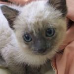 Lynda Ray - @ray.lynda22 - Instagram