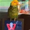 Lynda Ray - @lyndaray - TikTok