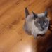 Lynda Ray - Facebook