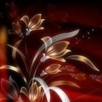 Lynda Ray - @lynda.ray - Instagram