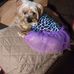 Lynda Rice - Facebook