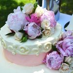 Lynda Rice - @lynda.rice.7374 - Instagram
