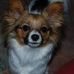 Lynda Rice - Facebook