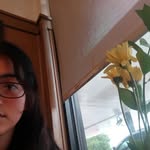 Lynda Rocha - @lynda_rocha - Instagram