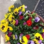 Lynda Self - @lynbself - Instagram