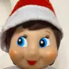 Lyndas elf - @lyndaselfontheshelf - TikTok