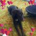 Lynda Sell - Facebook