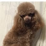 Lynda Simpson - @lynda.simpson.927 - Instagram