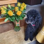 Lynda Simpson - @lyndasimpson34 - Instagram