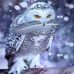 Linda Sinclair - Facebook