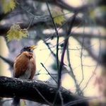 Lynda Sinclair - @lynda.sinclair - Instagram