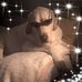 Lynda Sinclair - Facebook